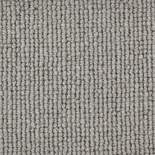 dove-plain
