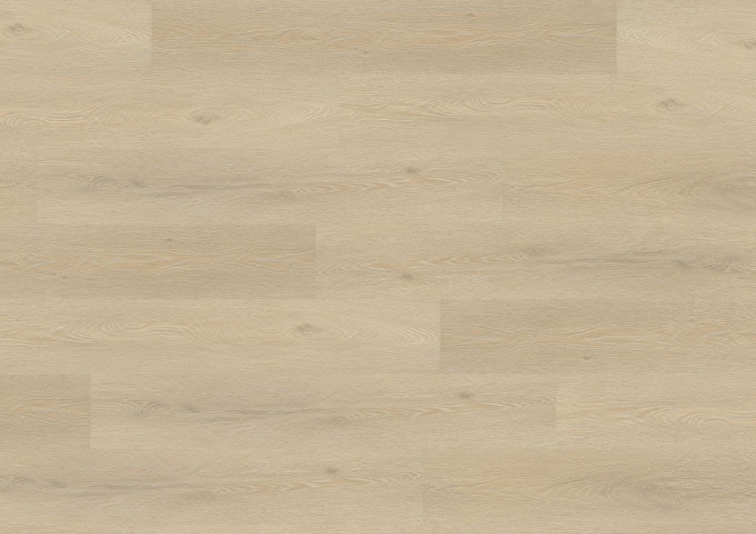 denver_oak_724313154