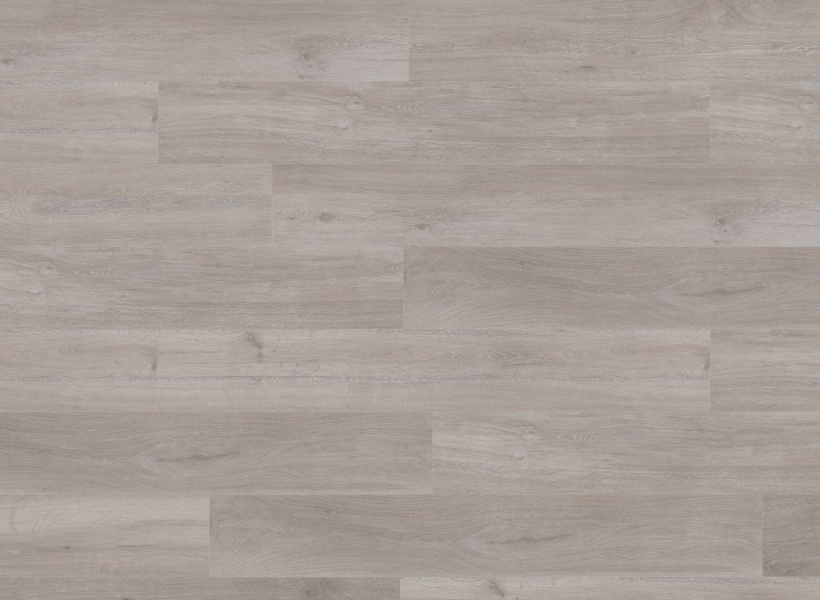 rockford_oak_899104176