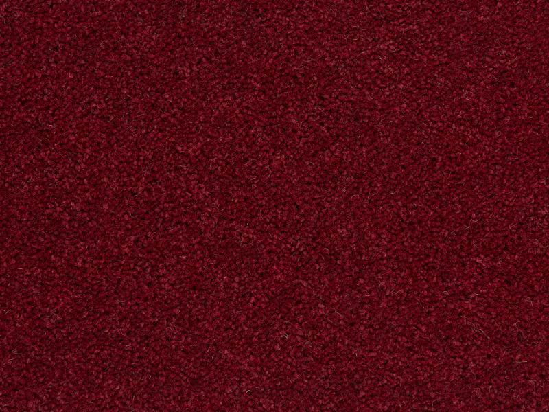tom-plains-raspberry