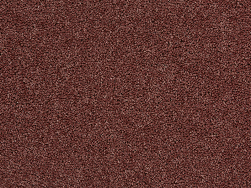 tom-plains-terracotta